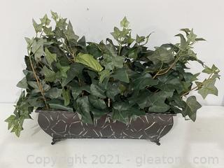 Decorative Common Ivy Plant 