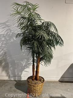 Stunning Nearly Natural Artificial Phoenix Palm in Planter 