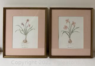 Limited Edition Pair of Framed Botanical Water Colors by Mary Vincent Bertrand 