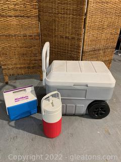 Coleman and Igloo Cooler Collection 