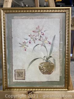 Lovely Asian Orchid Framed Print (B)