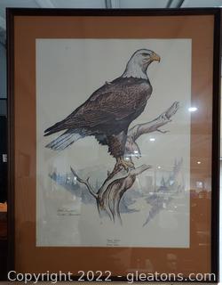 Beautiful Framed Signed Lithograph of Bald Eagle by Clark Bronson                          