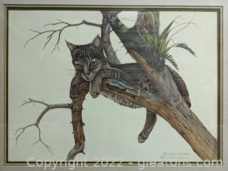 “The Yearling Bobcat” Signed Print by Richard Evans Younger 