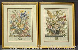 Pair of Henry Fletcher Art Prints From “Twelve Months of Flowers” (B)