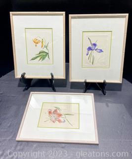 Framed Florals by Rozy 