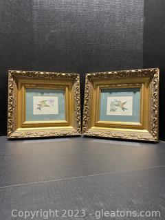 Hummingbird Hand Colored Etchings by Dan Mitra, Framed 