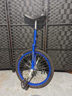 Sun 20 Inch Wheel Unicycle with Alloy Rim