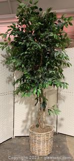 Tall Faux Ficus Tree in Basket Planter