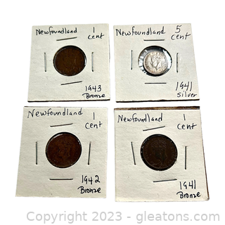 Collection of Valuable Coins from Newfoundland