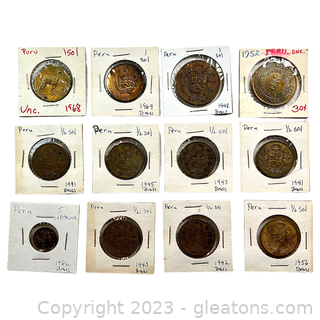 Collection of Valuable Coins from Peru