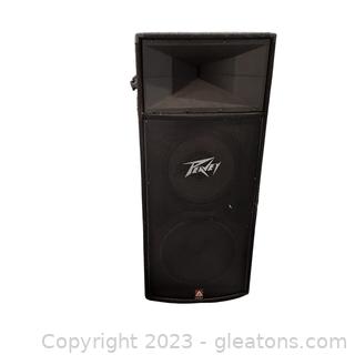 Peavy Model TLS-4 Stage Speaker