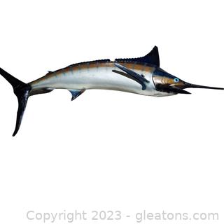 Large Taxidermy Blue Marlin