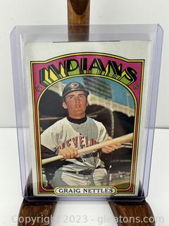 Topps Graig Nettles Card