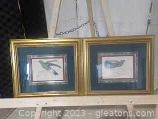 Pair of Scientific Hummingbird Framed Wall Art in Gilded Frames
