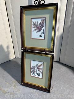 Charming Pair of Framed & Matted Leaves from Uttermost (lot of 2)
