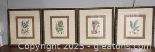 4 Nice Framed Botanical Prints