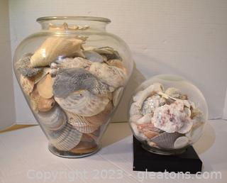 Shell Beach Orb and Large Ginger Jar Full of Beautiful Beach Shells 