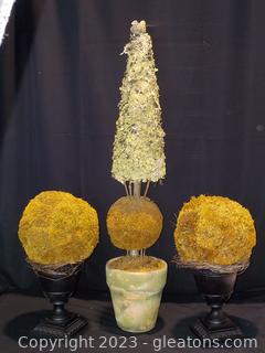 Natural Topiary Grouping (3 pc) Featuring Dried Moss