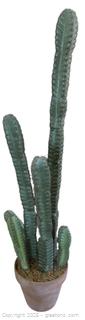 Faux Cactus
